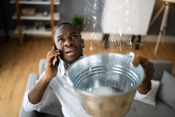 Best Local water damage restoration  in Fairchild Af, WA