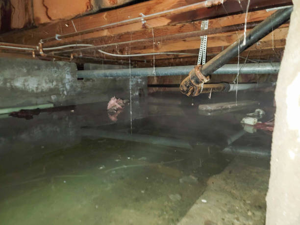  Fairchild Af, WA Water damage restoration Pros