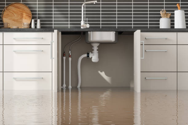 Best Water damage restoration near me  in Fairchild Af, WA