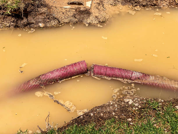 Best 24-hour water damage restoration  in Fairchild Af, WA