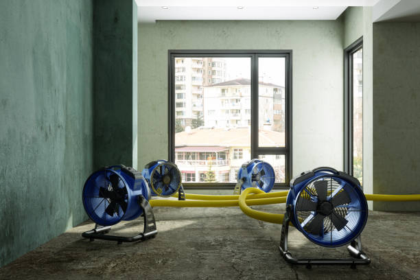 Best Fire Damage Restoration  in Fairchild Af, WA